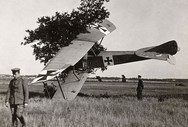 Aeroplane In Tree